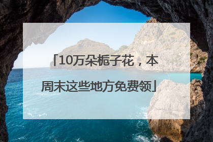 10万朵栀子花，本周末这些地方免费领